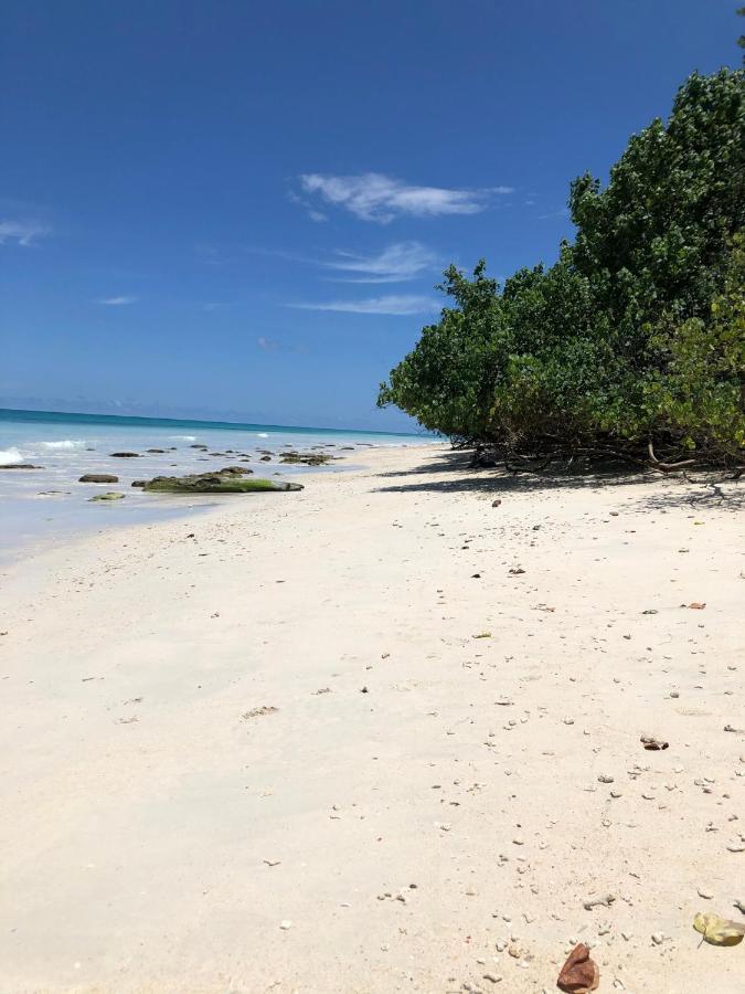 ホテル Tilar Siro Andamans - A Cgh Earth Experience Govind Nagar エクステリア 写真
