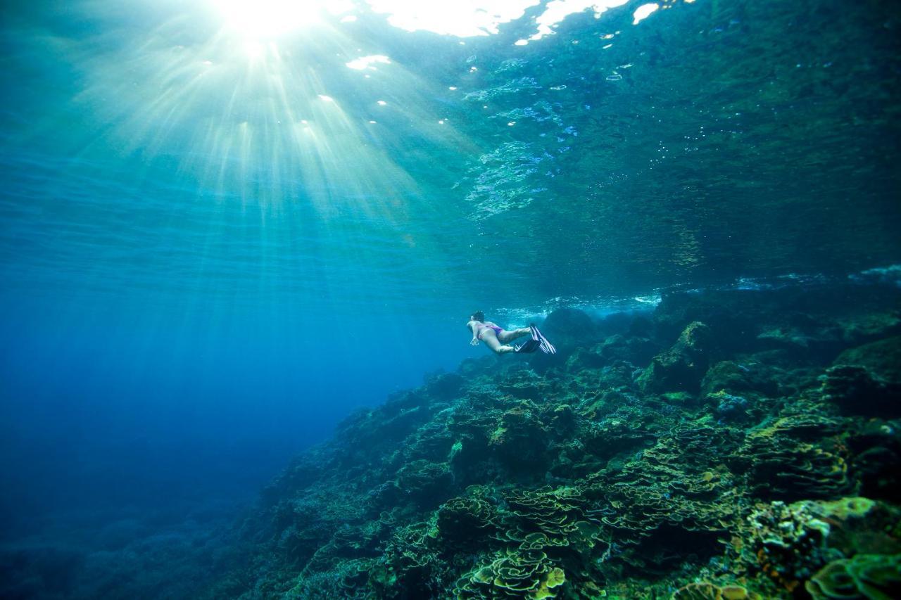 ホテル Tilar Siro Andamans - A Cgh Earth Experience Govind Nagar エクステリア 写真