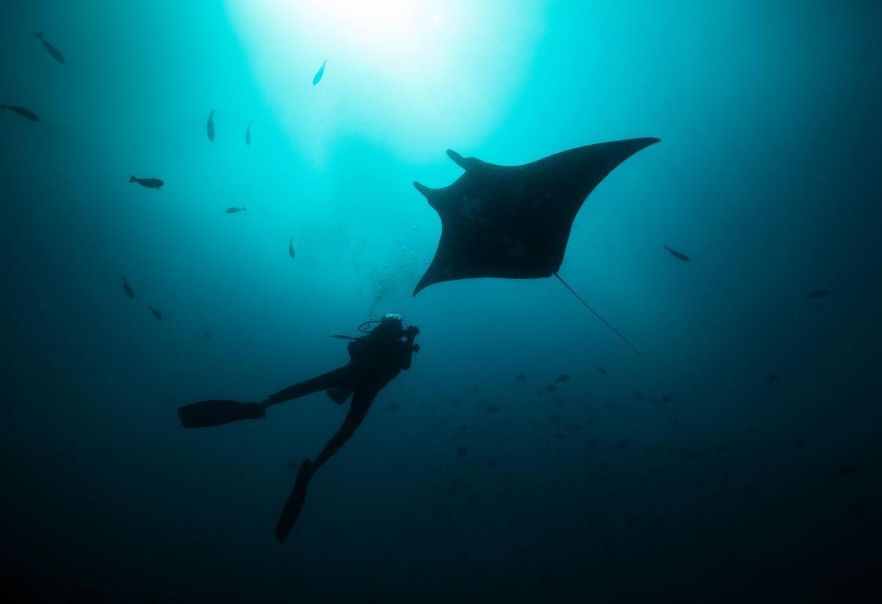 ホテル Tilar Siro Andamans - A Cgh Earth Experience Govind Nagar エクステリア 写真