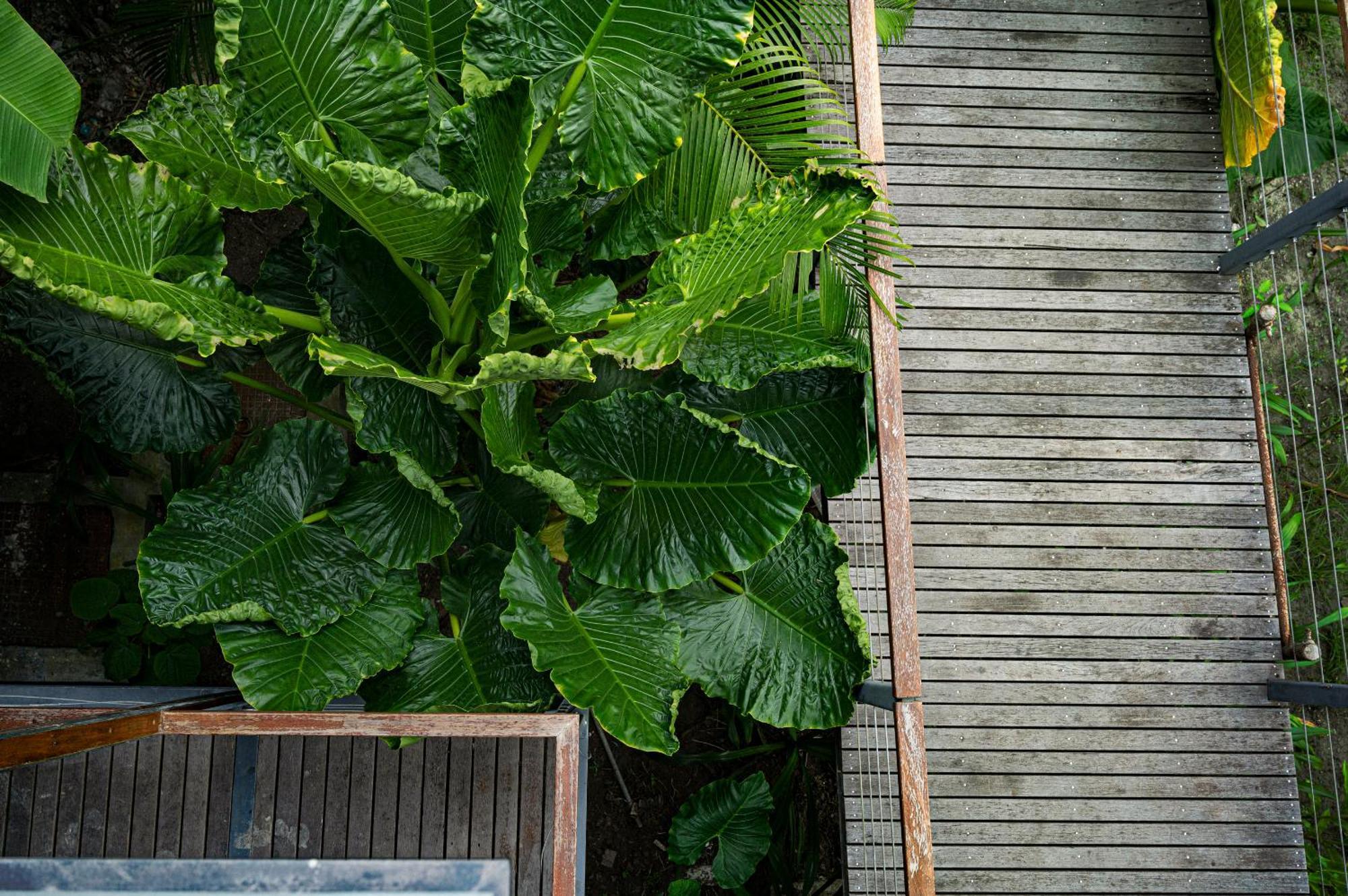 ホテル Tilar Siro Andamans - A Cgh Earth Experience Govind Nagar エクステリア 写真